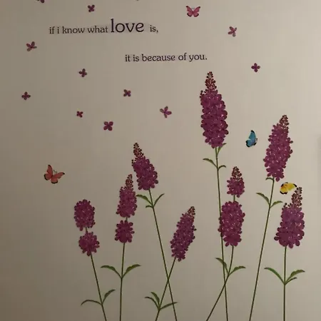 Apartment Covic *